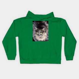 Stunning gray green eyed cat Kids Hoodie